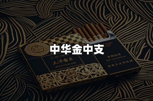 中华金中支